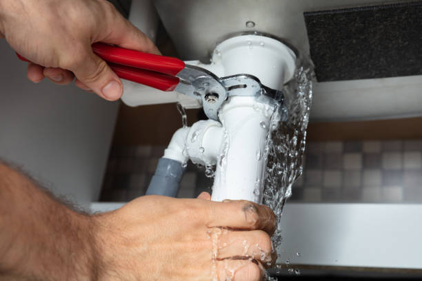 Best Basement water damage restoration  in Goodrich, MI