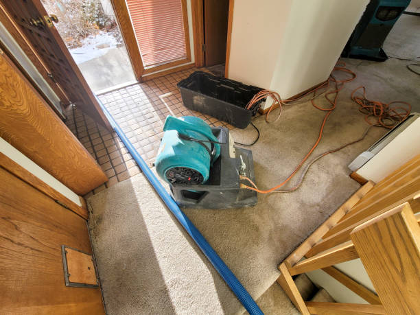 Best Flooded house restoration  in Goodrich, MI