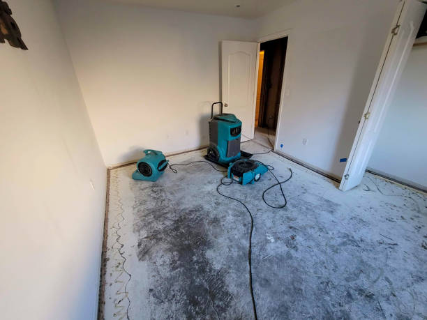 Best Sewage cleanup and water damage restoration  in Goodrich, MI