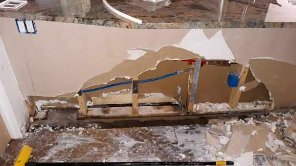 Best Fire Damage Restoration  in Goodrich, MI