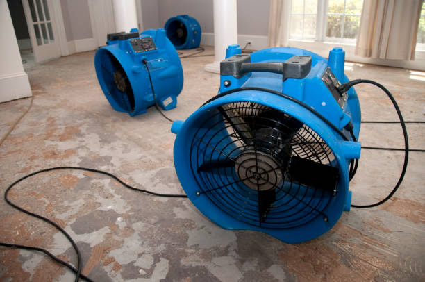 Best 24-hour water damage restoration  in Goodrich, MI
