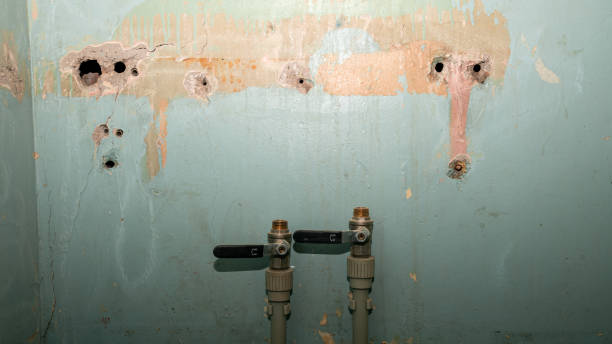 Best 24/7 water damage repair  in Goodrich, MI