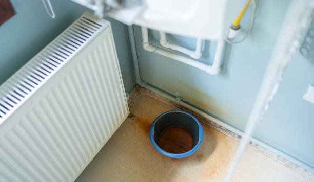 Best Professional water damage repair  in Goodrich, MI