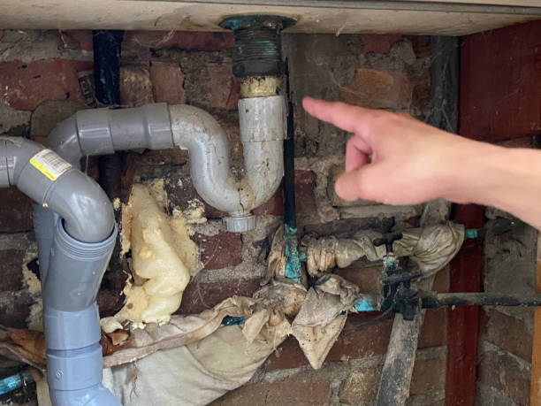 Best Water damage contractors near me  in Goodrich, MI