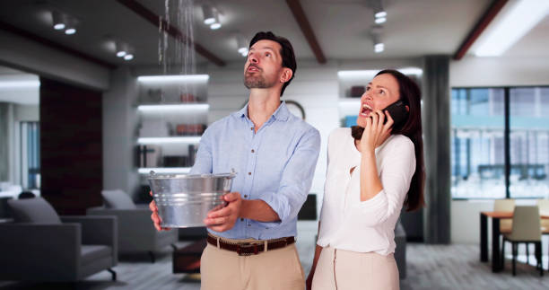 Best Residential water damage restoration  in Goodrich, MI